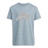 Glitter  Ice-Bear