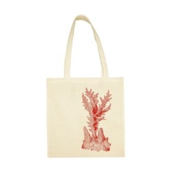 Red Coral