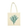 Blue Coral