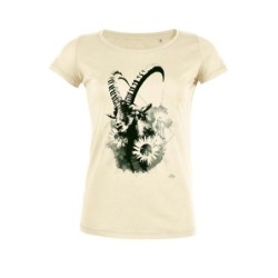 Capra Ibex