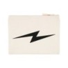 Flash