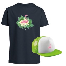 Combo Flamingo
