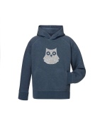 Owl  1